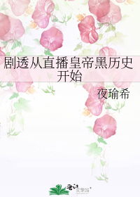 ��͸��ֱ���ʵۺ���ʷ��ʼ