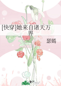 [�촩]�������������