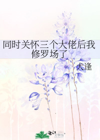 ͬʱ�ػ��������к������޳���