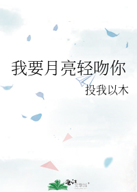 ��Ҫ����������