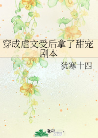 ����Ű���ܺ��������籾