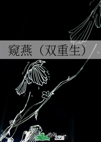 ���ࣨ˫������