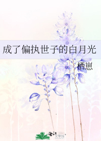 ����ƫִ���ӵİ��¹�