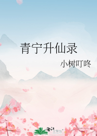 ��������¼