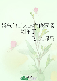 �����������������޳�������