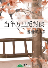 �����ӷŷɺ󣬱�����[�Ŵ���]