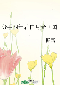 �����������¹�ع���