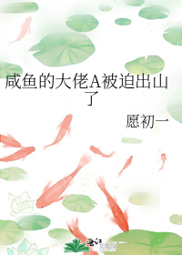 ����Ĵ���A���ȳ�ɽ��