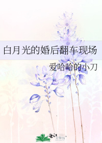 ���¹�Ļ�󷭳��ֳ�