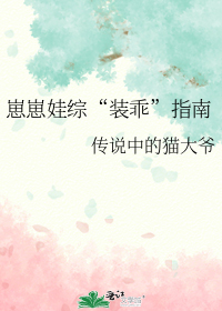 �������ۡ�װ�ԡ�ָ��