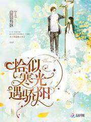 ǡ�ƺ���������