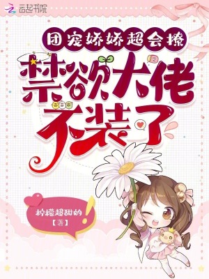 �ų轿�������ã��������в�װ��