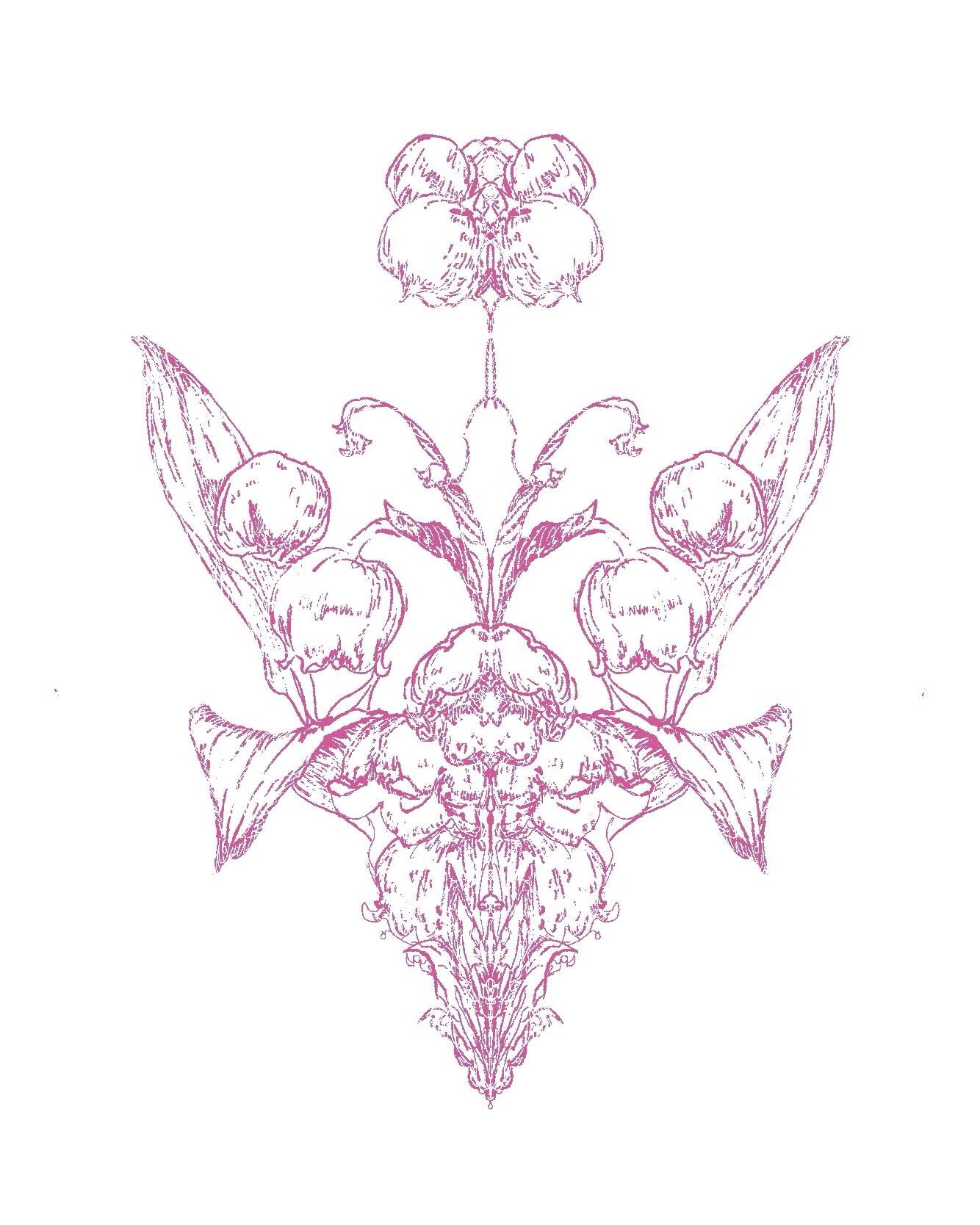 ǧ������