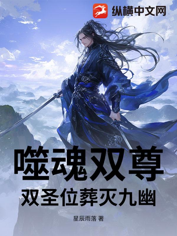 �ɻ�˫��˫ʥλ�������