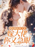 ������װʧ�䣬�޴������ּ���