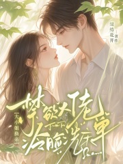 ��С�㻻�ף�������������ϴ����